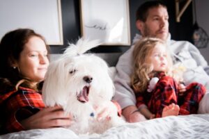 Documentary Kaplan Family - Westford, MA