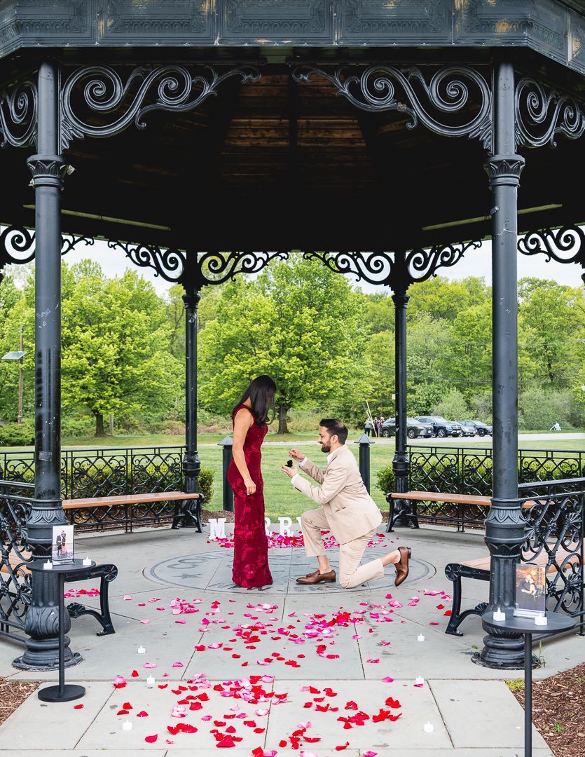 Couples & Surprise Proposal Engagement Photographer in New York City